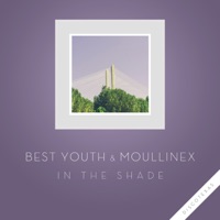 In the Shade - Single - Best Youth & Moullinex