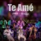 Te Amé (feat. Herencia de Timbiquí) artwork