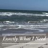 Exactly What I Need - Single