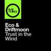 Eco & Driftmoon