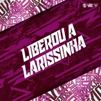 Liberou a Larissinha - Single - MC MENOR ADR, DJ GORDINHO DA VF & DJ QUISSAK