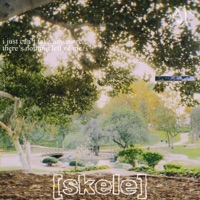 There's Nothing Left of Me - Single - Lil Skele