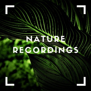 Green Vibes for Relaxing