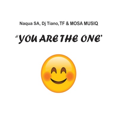 You are the one (feat. Naqua SA, TF & MOSA MUSIQ) - Single