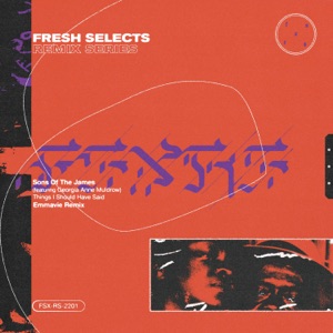 Things I Should Have Said (Emmavie Remix) [feat. Georgia Anne Muldrow] - Single