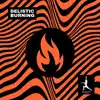Delistic - Burning