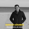 ÖZLEMEDİN Mİ BENİ - Single