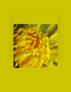 Vaughan dinle, müzik videolarını izle, biyografisini oku, tur tarihlerini ve daha fazlasını gör!