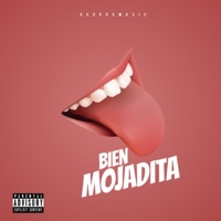 BIEN MOJADITA (feat. Dolla Chriss, Lil Remo & Fransu) - Single - Skooly Wap