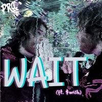 WAIT (feat. $wish) - Single - Guapo Tank