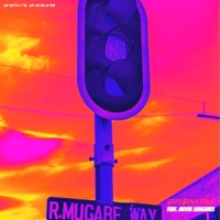 LOTP (Radio Edit) - Single - Zim$inatra
