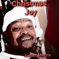 Christmas Joy - Single - James Morris