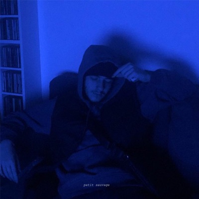 Petit sauvage (feat. Sova) - Single