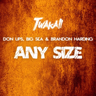 Any Size - Single