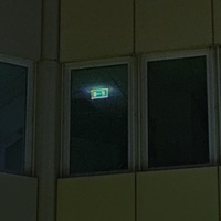 lebenistzukurz - Single - ellbee