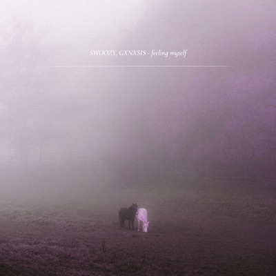 Feeling Myself - Single