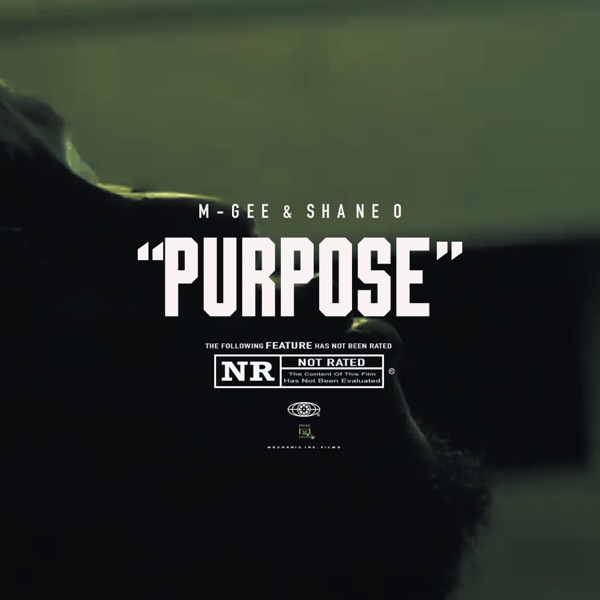 Purpose (feat. Shane O)