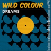 Dreams (Tin Tin Out Vocal Mix) artwork