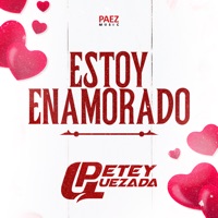Estoy Enamorado - Single - Petey Quezada