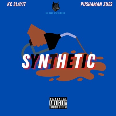 Synthetic (feat. Pushaman Zues) - Single