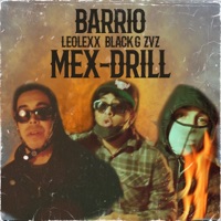 Barrio (feat. BLack G & ZVZ) - Single - Leolexx