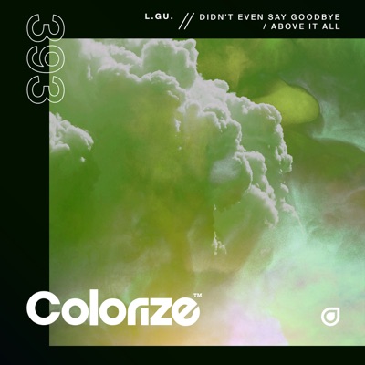 Didn't Even Say Goodbye / Above It All - EP