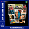 Maula Mere Maula (Slow Reverb Mix) - Roop Kumar Rathod, Mithoon & Sayeed Quadri