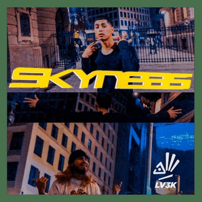 Skyneas (feat. Skinnycat) - Single