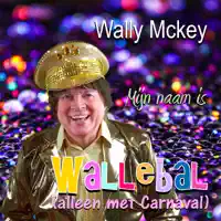 Mijn Naam Is Wallebal — Wally Mckey