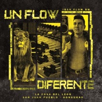 Un Flow Diferente - Single - Idar Flow RM