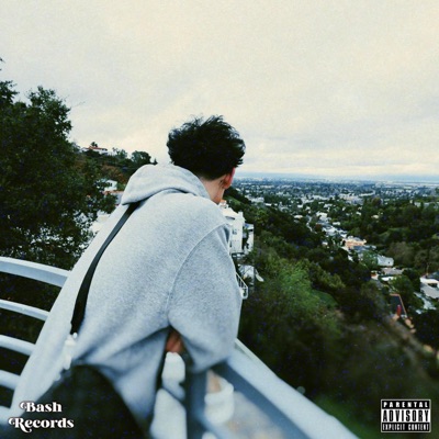 WokBash (feat. WOKBANZ) - Single