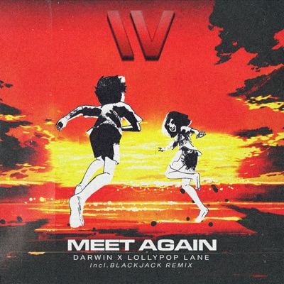 Meet Again - Single