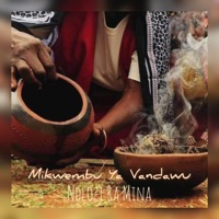 Ndlozi Ra Mina (feat. XamaCcombo) - Single - Salani the producer