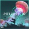 Perfect 10 (Unknown Brain & Rudelies Vip) - Unknown Brain, Heather Sommer & RudeLies lyrics