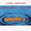 Terminal Cinta