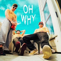 Oh Why - Single - Rob the Bank