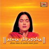 Hanuman Chalisa (Instrumental) - Ashit Desai