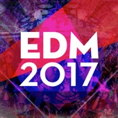 Edm 2017 artwork