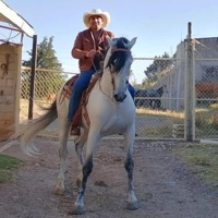 La Feria Del Patron - Single - Aquel Que Había Muerto