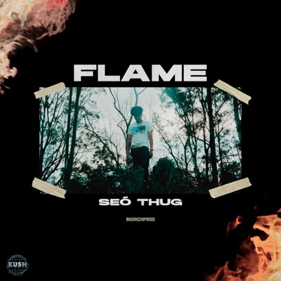 Flame - Single