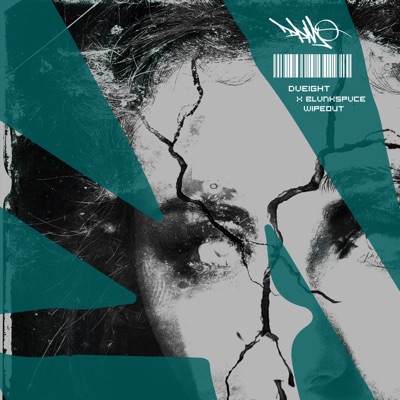 WIPEOUT - Single