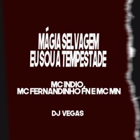 Mágia Selvagem - Eu Sou a Tempestade - Single - MC Fernandinho FN, MC MN, Mc Indio & DJ Vegas