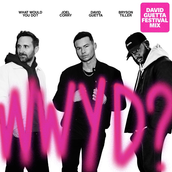 What Would You Do? (feat. Bryson Tiller) [David Guetta Festival Mix] - Single - Joel Corry & David Guetta