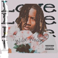 Love - Single - Wild Woody