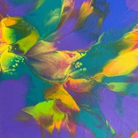 פיצולישיות - Guy Shwartz