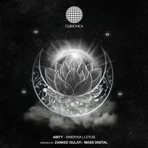 Sinerxia  Lotus