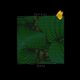 Forest Date Maxømøa & Coloured Rocks