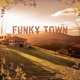 Funky Town Single