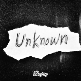 Unknown Beejay