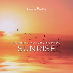 Morning Nature Sounds: Sunrise (Ocean Waves, Rain, Soothing Water, Singing Birds)